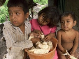 En los departamentos de Lempira e Intibucá, el 48 % de los niños padecen de desnutrición extrema.