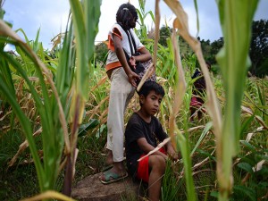 Guatemala _ 20140807 _ Sequ’a da–a cultivos en el oriente del pa’s. La mayor’a de cultivos de ma’z en Comapa, Jutiapa, han sido da–ados por falta de lluvias en la regi—n. La extensi—n de la can’cula no permiti— que los cultivos crecieran, afectando a cientos de familias que cultivan el grano.