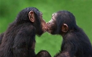 beso monos
