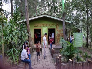 El Zoológico Rosy Walther cuenta con un serpentario que muestra cada una de los serpientes en habitan en Honduras.
