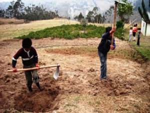 En el area rural es donde mas se da el fenomeno del trabajo infantil