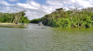 En Biosfera del Río Plátano