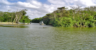 problemática ambiental del Río Plátano
