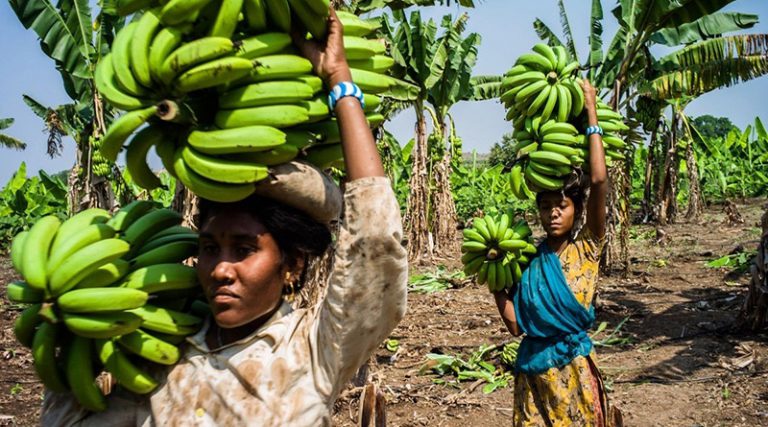 mujeres frente al COVID-19