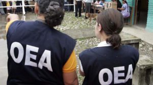 Expertos electorales OEA