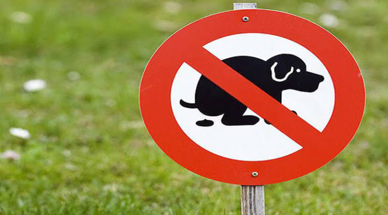 animales, civilizado