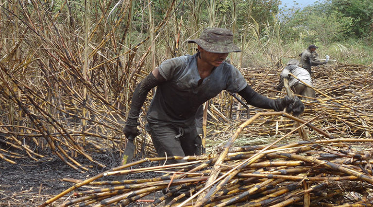 azíucar, medio ambiente