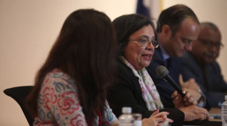 Julieta Castellanos, OACNUDH