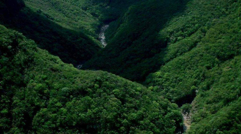 Biosfera San Marcos de Colón, UNESCO patrimonio mundial