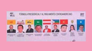 Papelera electoral