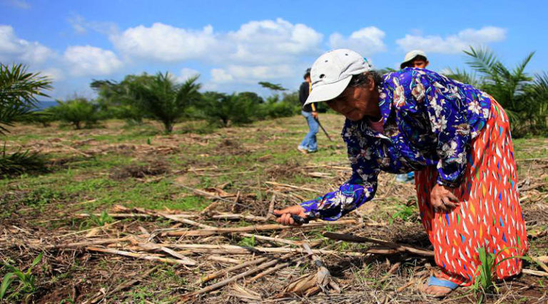 mujeres rurales en Honduras