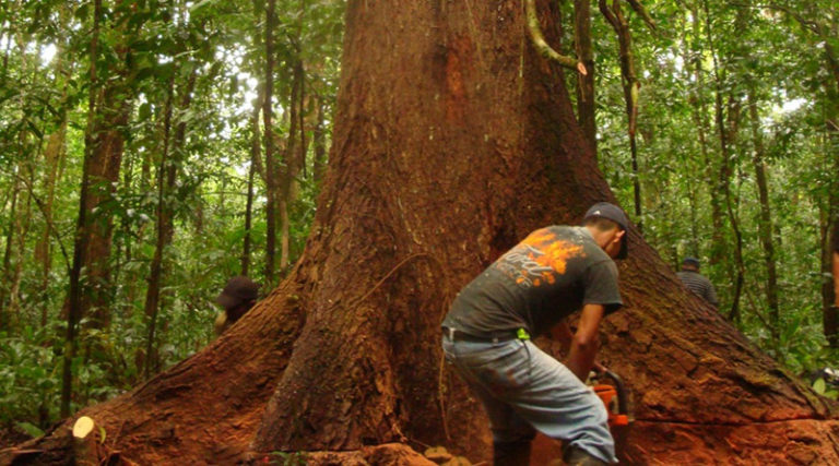 Corruptos de Honduras