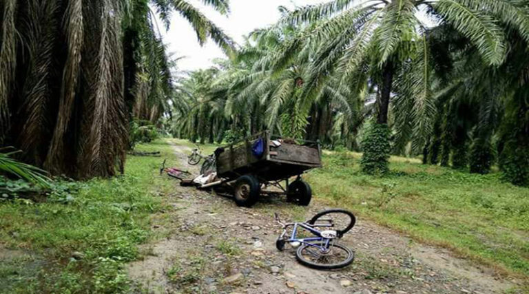 niño en el Bajo Aguán