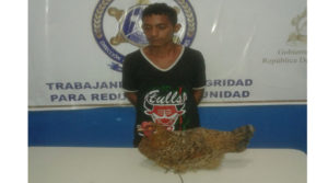 Por robarse una gallina