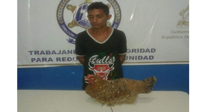 Por robarse una gallina