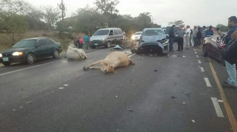 Palmerola, Comayagua