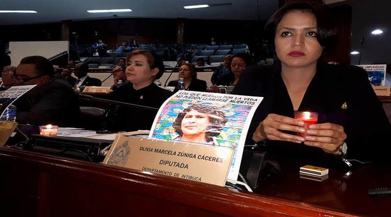 Ley Berta Cáceres