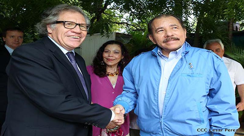Luis Almagro ignora corrupción en Honduras