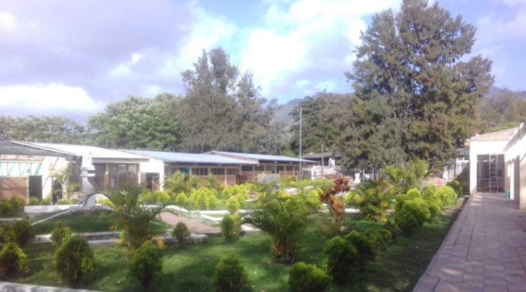 Denuncian nombramiento