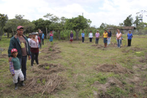 Más del 90% de las mujeres del área rural trabajan