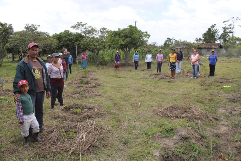Más del 90% de las mujeres del área rural trabajan