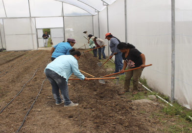 De la agricultura al empoderamiento femenino