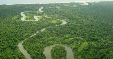 Biosfera del Río Plátano en Honduras