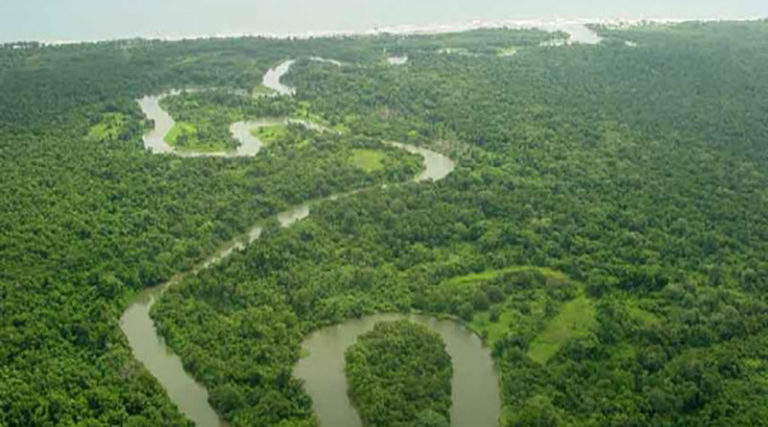 Restricciones en Biósfera del Río Plátano