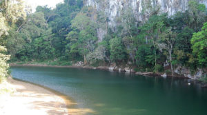 Inadaptados a la naturaleza