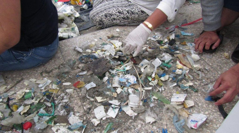 desechos plásticos marinos