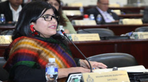 diputada Waleska Zelaya