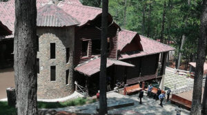 Rosa Elena Bonilla de Lobo