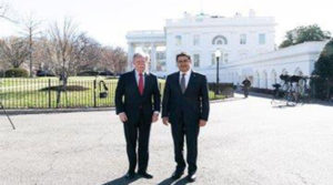 De águila, halcones y gorrión