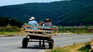 Vínculos rurales-urbanos en Centro América