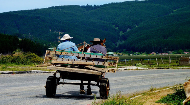 Vínculos rurales-urbanos en Centro América