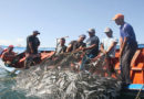 Persisten atropellos a la pesca artesanal en Roatán