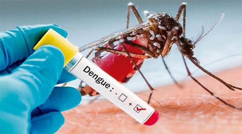 Honduras supera los 20 mil casos de dengue
