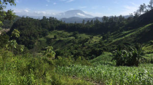 Copinh denuncia ataque