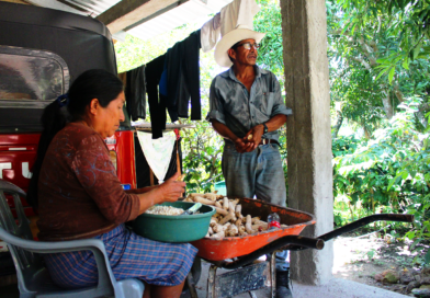 Campesinos de Honduras viven en riesgo alimentario
