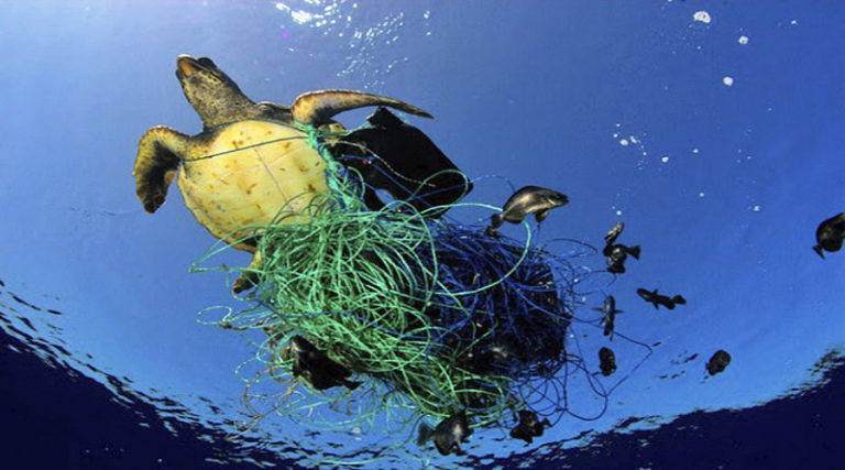 640.000 toneladas de redes