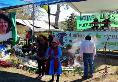 A 4 años de su siembra: Berta sigue siendo infinita