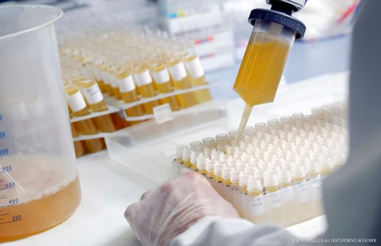 coronavirus en Honduras