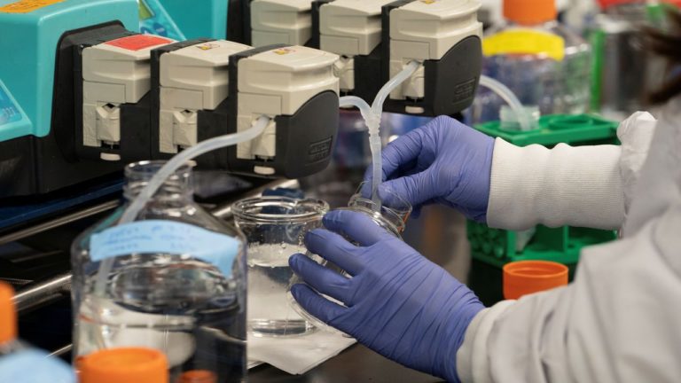 Ensayo clínico Honduras