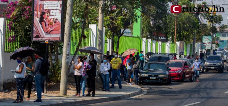 Consumidores