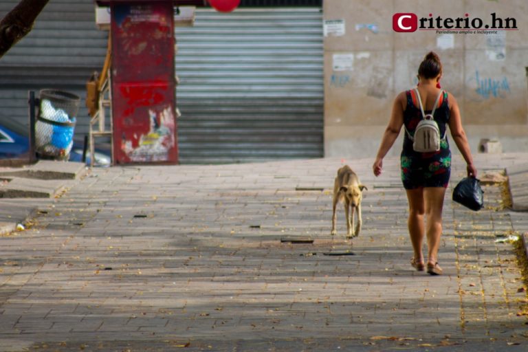 COVID-19 prospera en la desigualdad