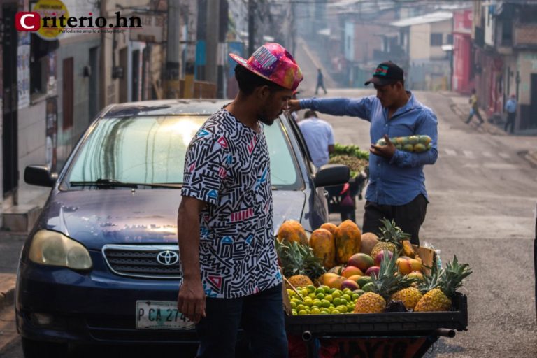 Producción y distribución de alimentos