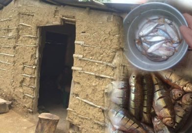 “Lluvia de peces” da respiro a crisis alimentaria en Victoria, Yoro, en tiempos del Covid-19