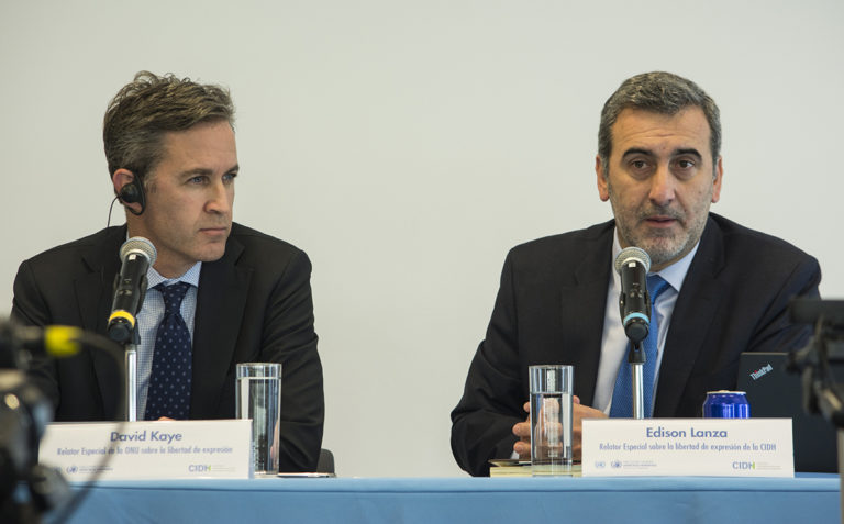 Expertos de la ONU y la OEA condenan