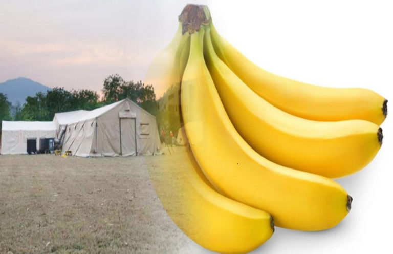 De bananos y hospitales