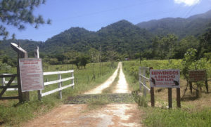 Refugio de animales